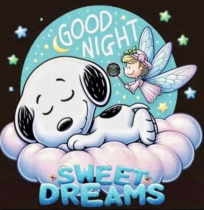 GOOD NIGHT SWEET DREAMS