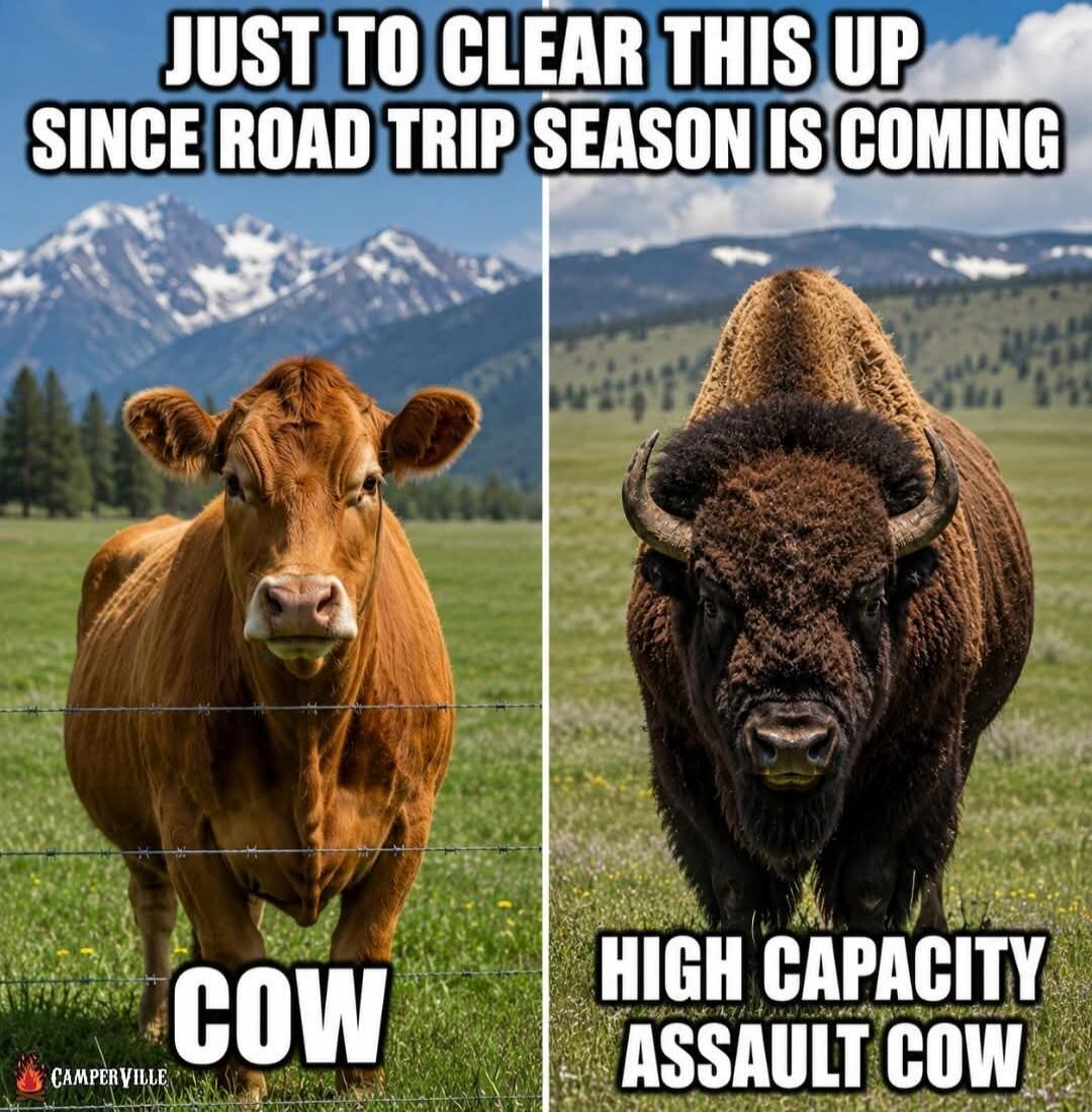 JUST TO CLEAR THIS UP SINCE ROAD TRIP SEASON IS COMING COW HIGH CAPACITY ASSAULT COW