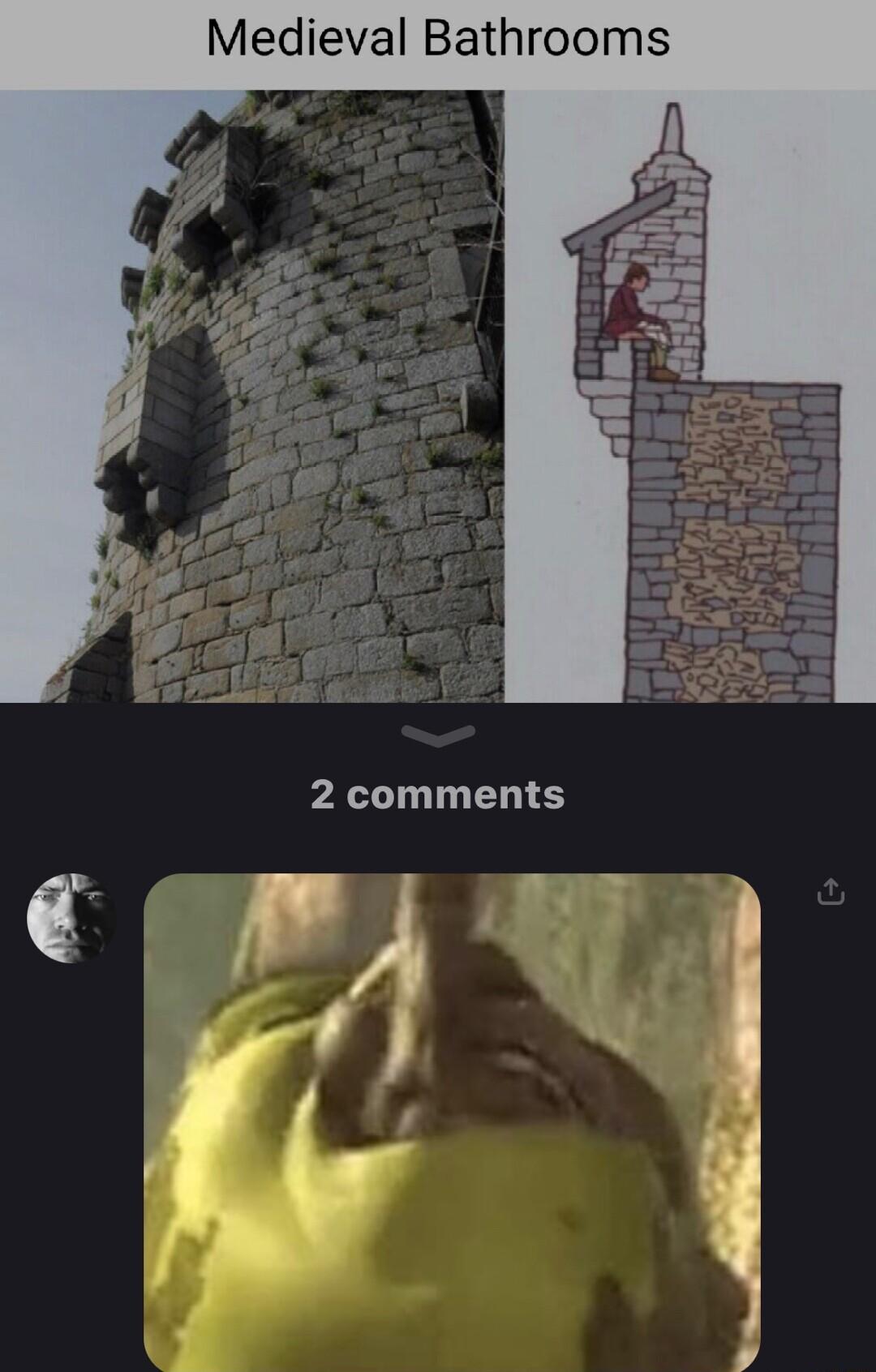 Medieval Bathrooms