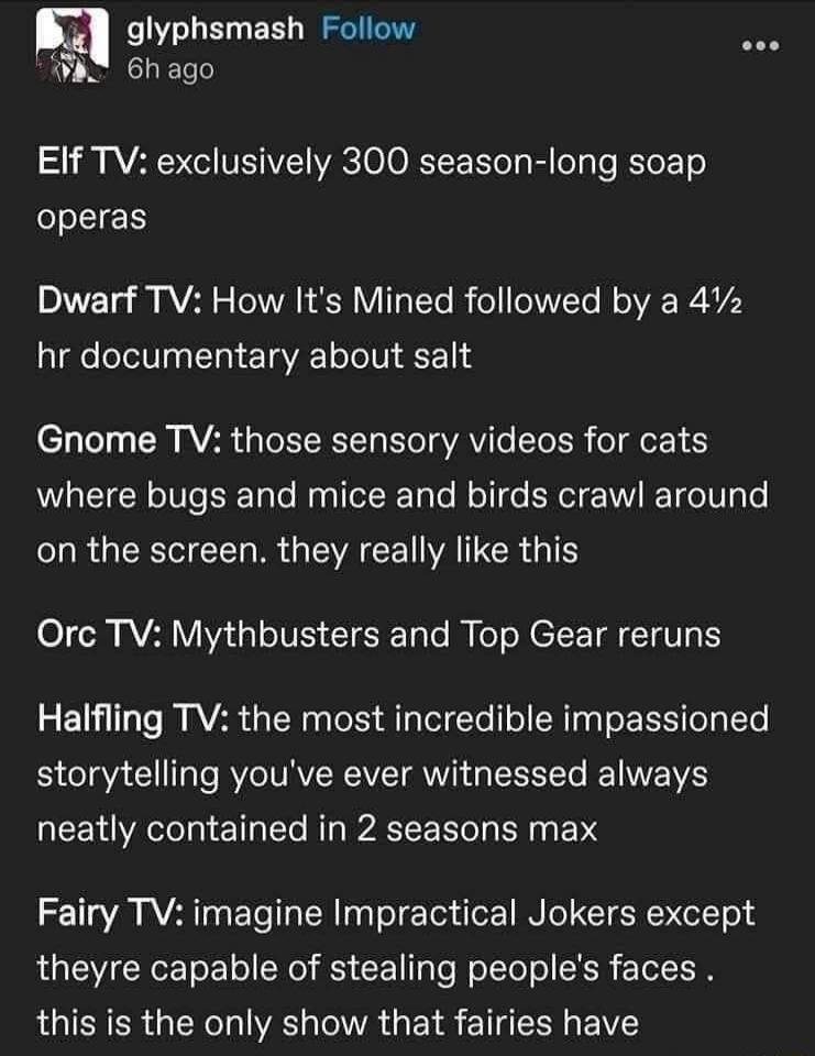 Elf TV: exclusively 300 season-long soap operas. Dwarf TV: How It's Mined followed by a 4½ hr documentary about salt. Gnome TV: those sensory videos for cats where bugs and mice and birds crawl around on the screen. they really like this. Orc TV: Mythbusters and Top Gear reruns. Halfling TV: the most incredible impassioned storytelling you've ever 