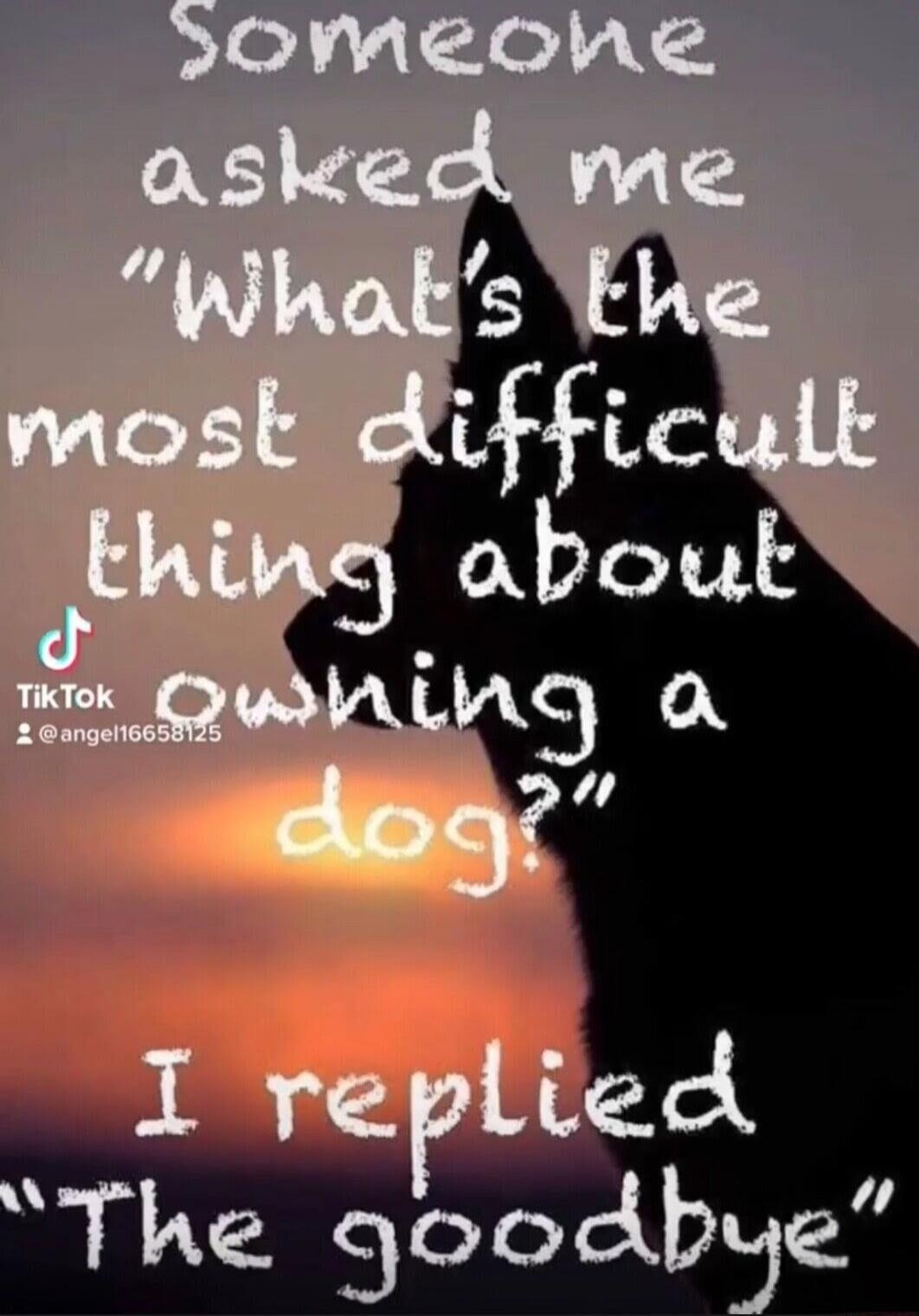 Someone asked me 'what's the most difficult thing about owning a dog?' I replied 'The goodbye'