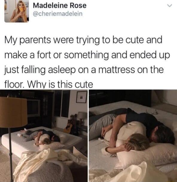 i Madeleine Rose S My parents were trying to be cute and make a fort or something and ended up just falling asleep on a mattress on the floor Why is this cute