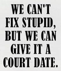 WE CAN'T FIX STUPID, BUT WE CAN GIVE IT A COURT DATE.