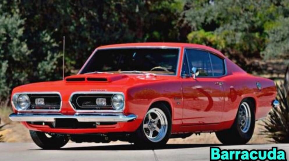 Barracuda