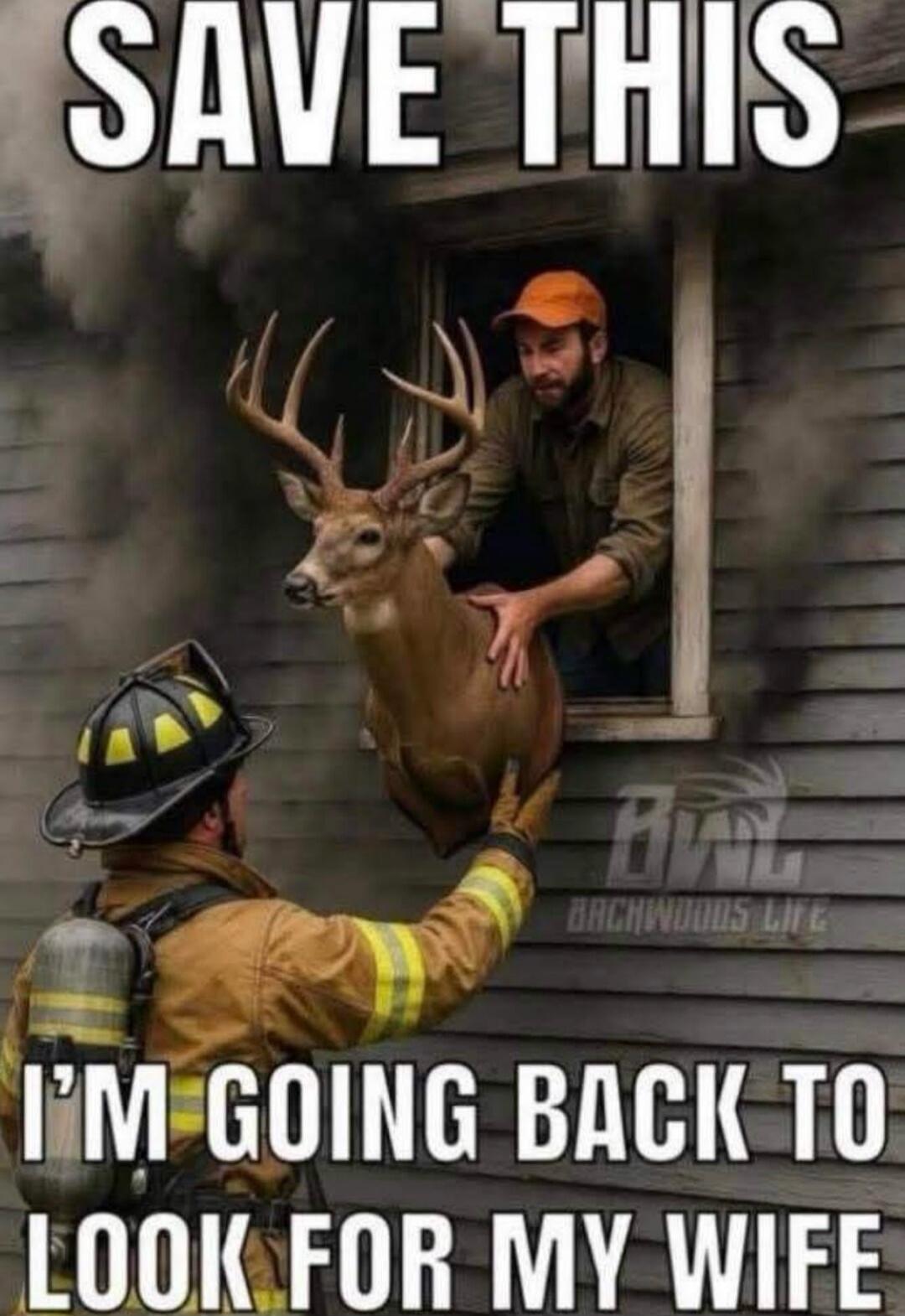 SAVE THIS I'M GOING BACK TO LOOK FOR MY WIFE