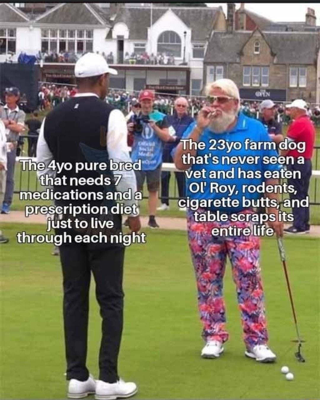 Wgriptiondie_ butts a justto live l rabgrap ts throtigh each night 7 entircllife j e 3