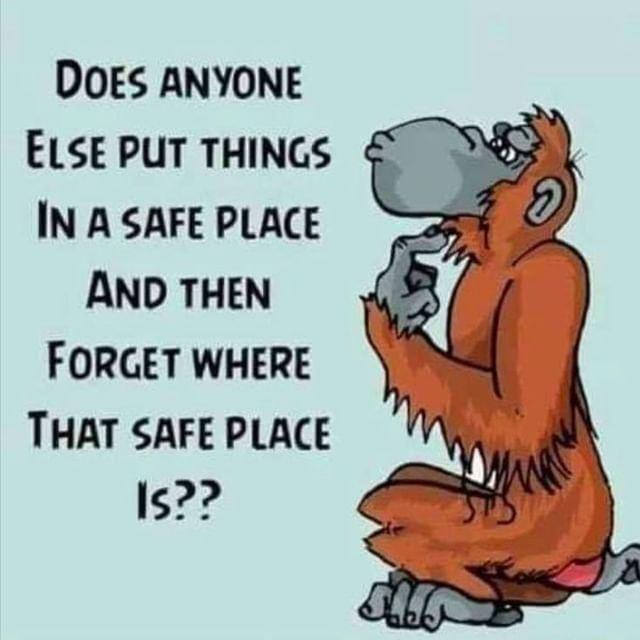 DOES ANYONE ELSE PUT THINGS IN A SAFE PLACE AND THEN FORCGET WHERE THAT SAFE PLACE Is22