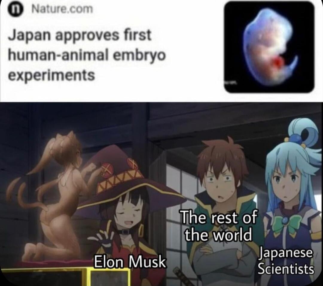 Nature Japan approves first human animal embryo experiments il Wiherest of 1y g theworld ST T JEBENESS re I Scientists