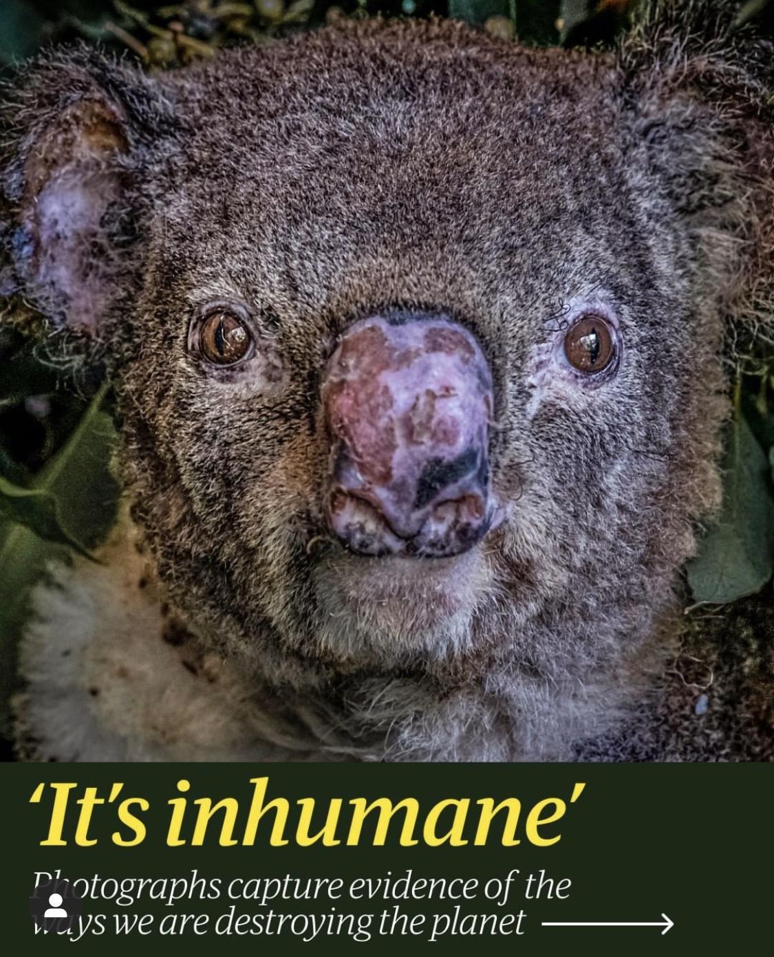 Its inhumane T tographs capture evidence of the v s we are destroying the planet