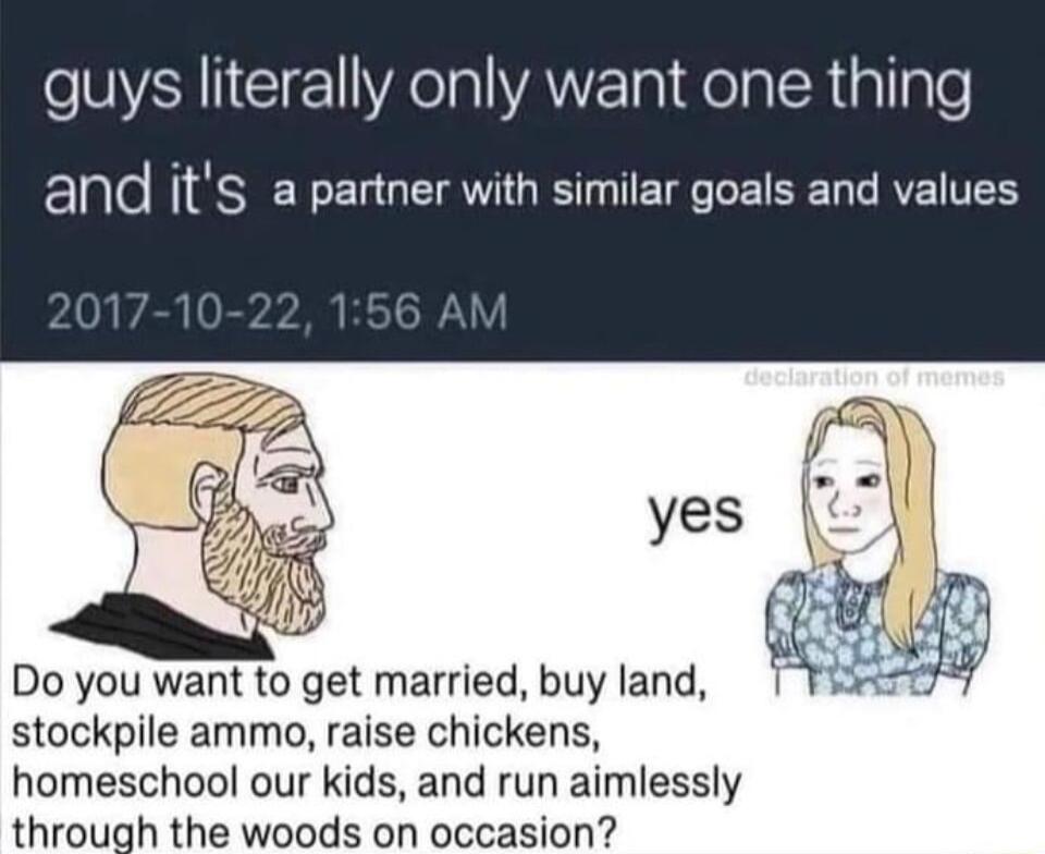 e IYANICIE VR IlVAWE g Ao la R allpTe and its a partner with similar goals and values Do you want to get married buy land stockpile ammo raise chickens homeschool our kids and run aimlessly through the woods on occasion