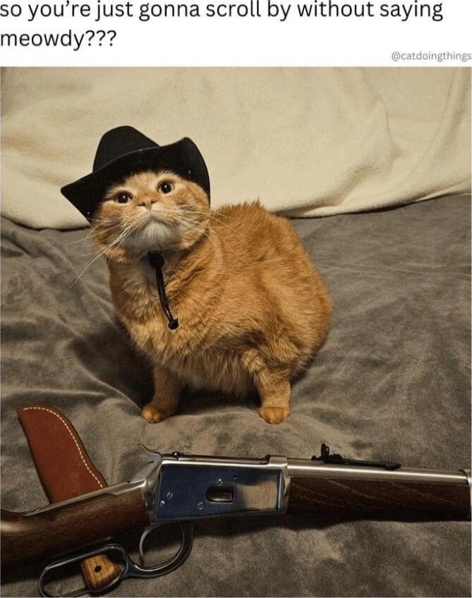 SO youre just gonna sc by without saying meowdy