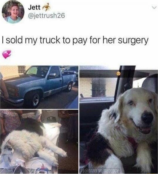 I sold my truck to pay for her surgery 💗