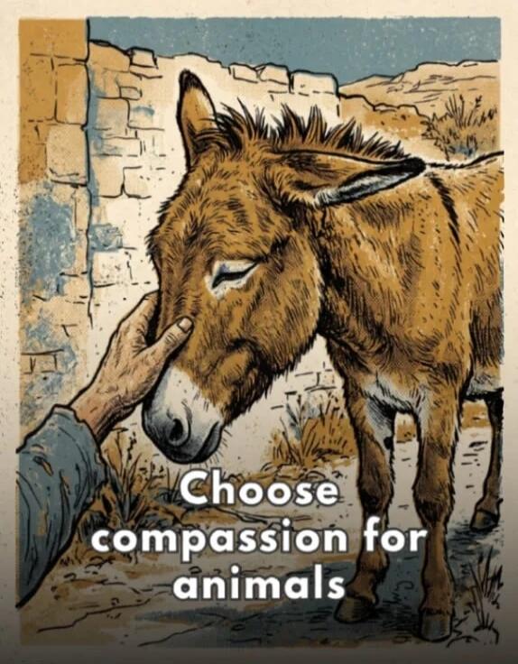 Choose compassion for animals