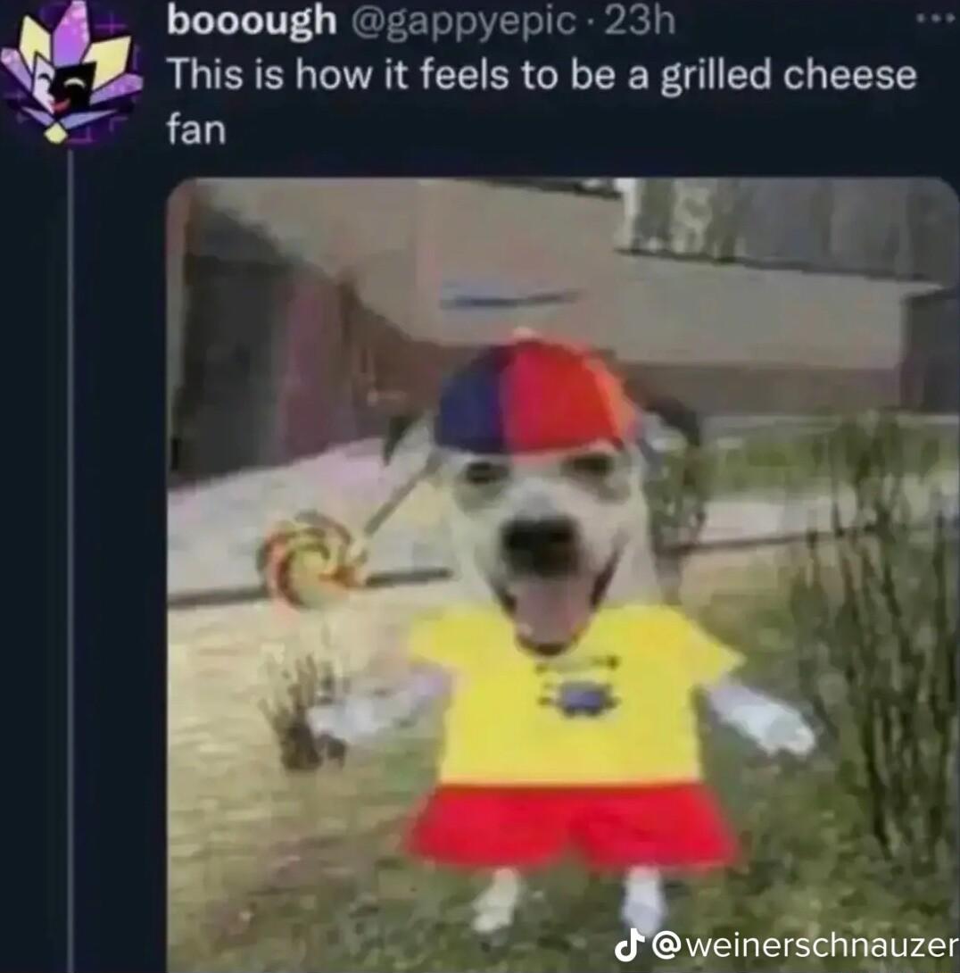 booough gappyepic 23h This is how it feels to be a grilled cheese