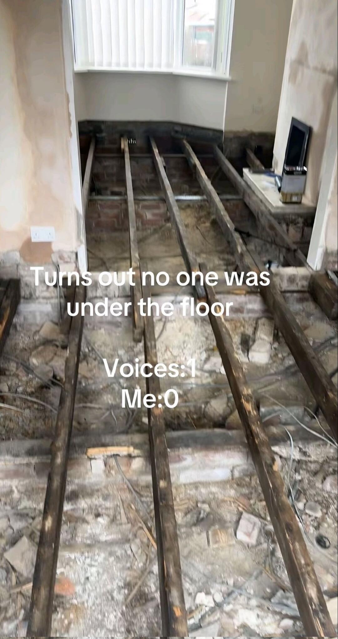 Turns out no one was under the floor Voices: 1 Me: 0