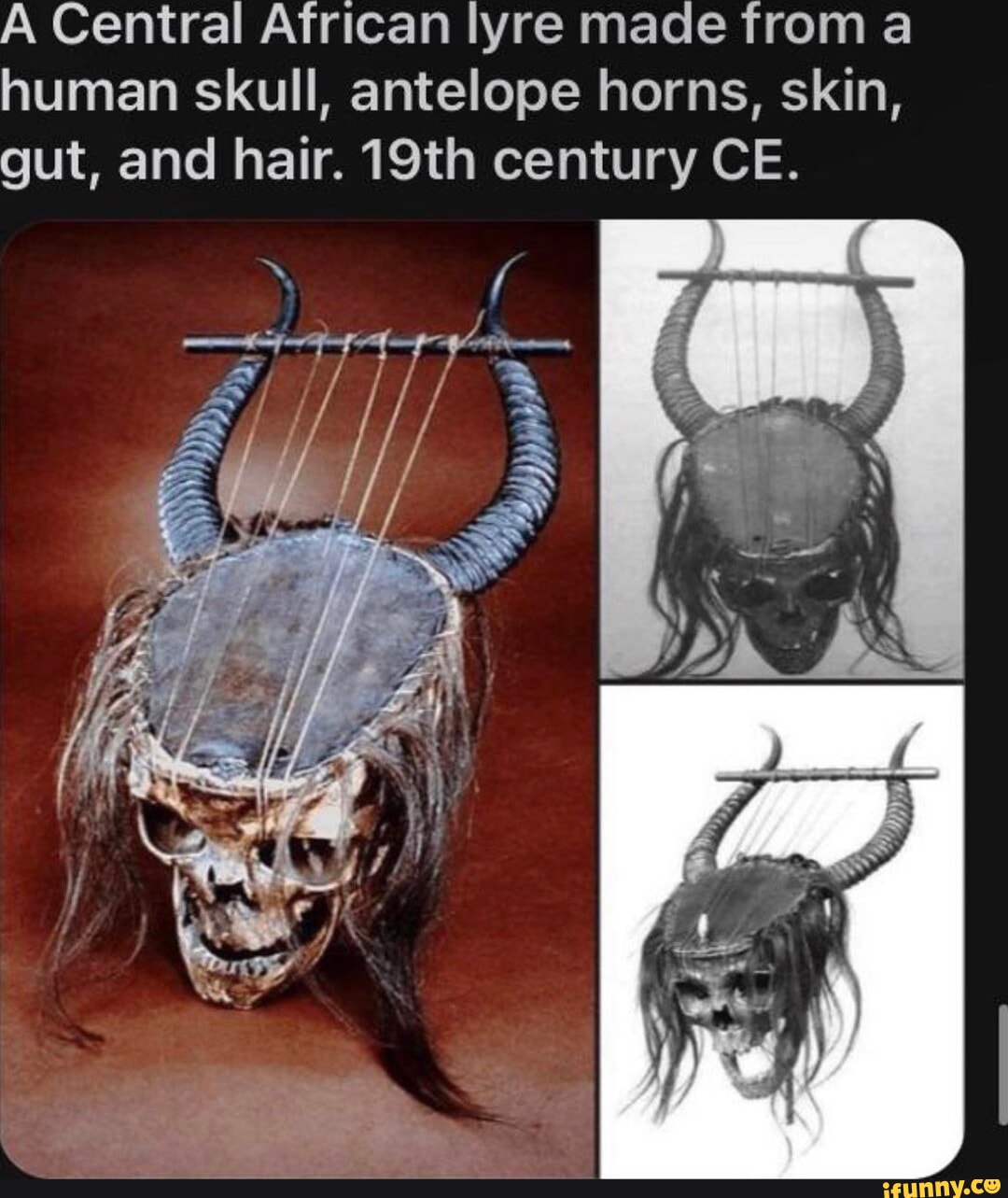 A Central African lyre made from a human skull antelope horns skin gut and hair 19th century CE