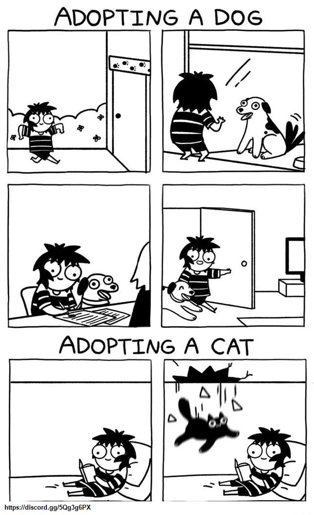 ADOPTING A DOG hipsidiscord 9g50g396PX