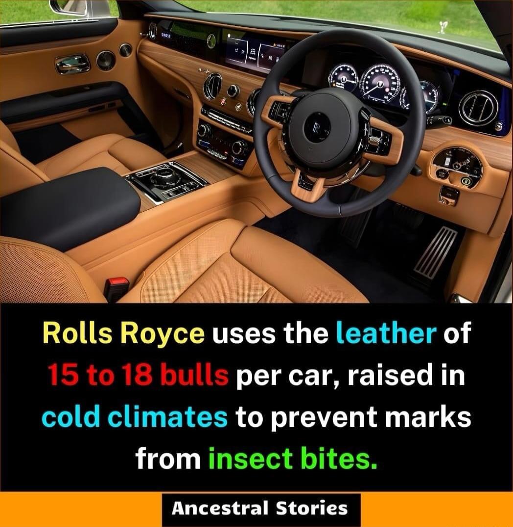 Rolls Royce uses the leather of EE T M ETEG cold climates to prevent marks from insect bites