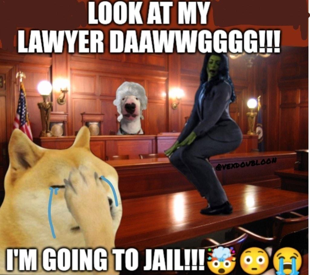 LOOKAT MY lAWYEII DAAWWGGGG i 0 EMGOINGITO JAILS