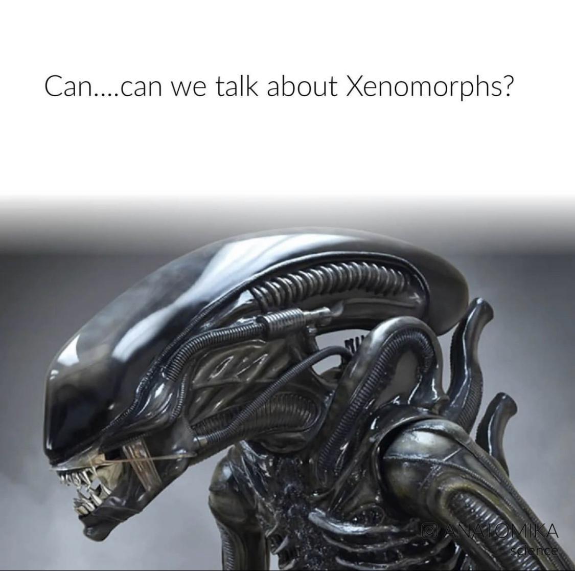 can we talk about Xenomorphs