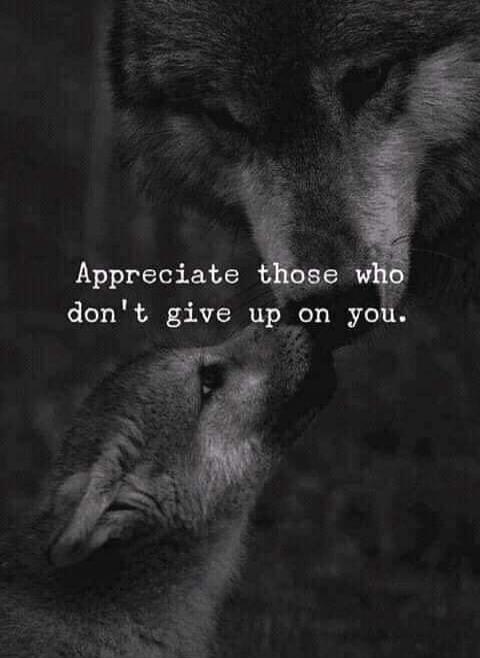 Appreciate those who don't give up on you.