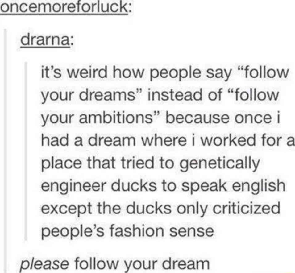 oncemoreioriuck drarna its weird how people say follow your dreams instead of follow your ambitions because once i had a dream where i worked for a place that tried to genetically engineer ducks to speak english except the ducks only criticized peoples fashion sense please follow your dream
