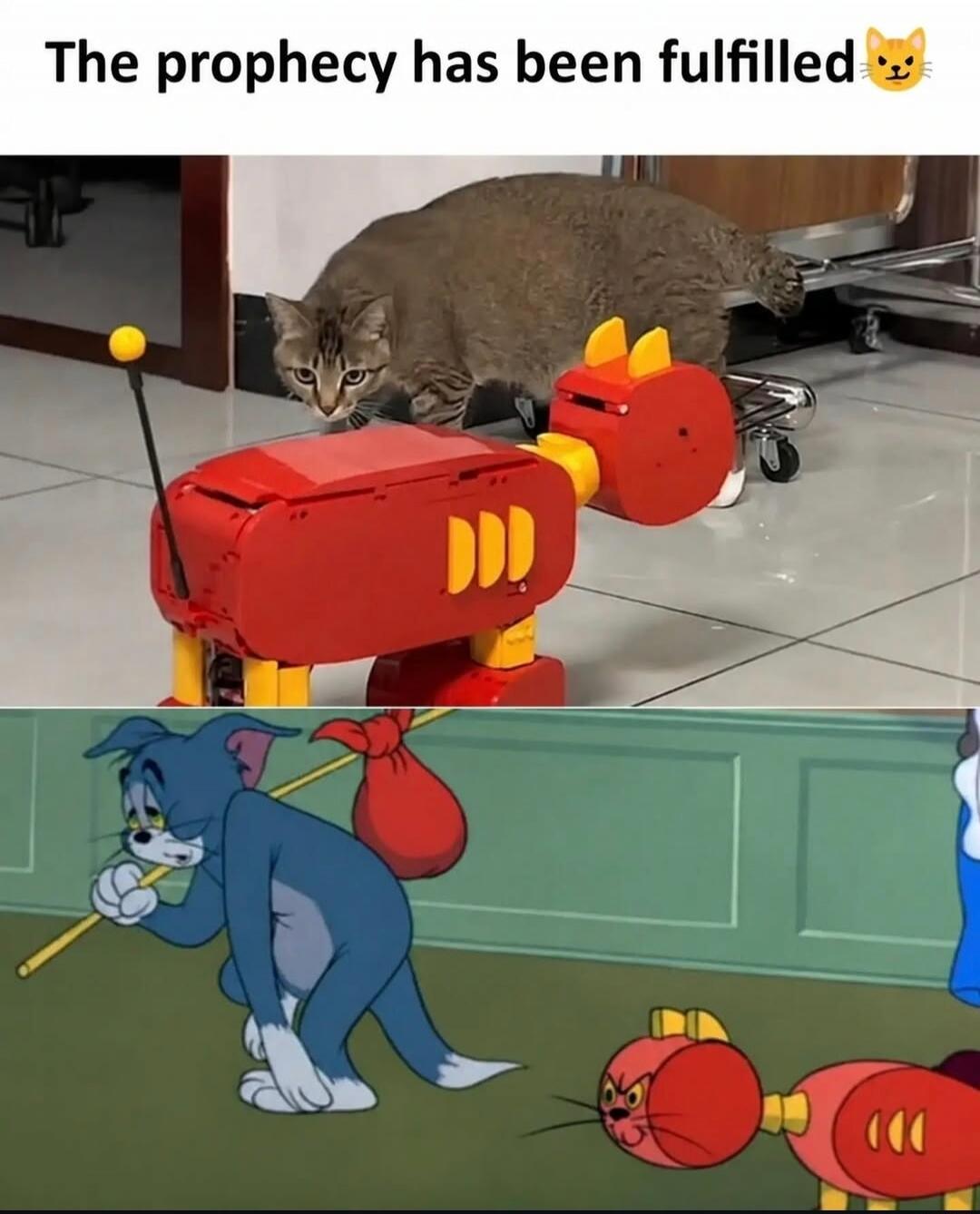 The prophecy has been fulfilled