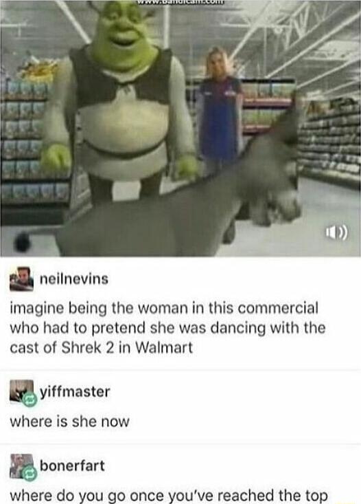 neilnevins imagine being the woman in this commercial who had to pretend she was dancing with the cast of Shrek 2 in Walmart yiffmaster where is she now banerfart where do you go once youve reached the top