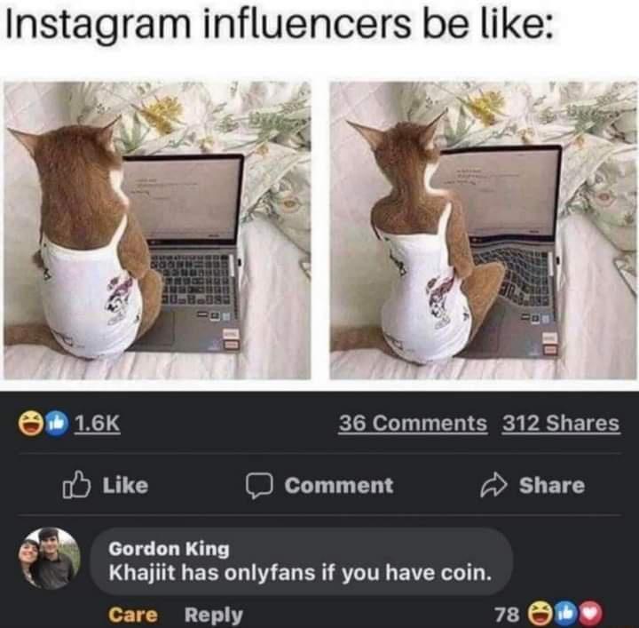 Instagram influencers be like RIS 36 Comments 312 Shares oY Like comment Share a Gordon King LGETMGERGLMELEN ST EVERG IR Reply 78 OW