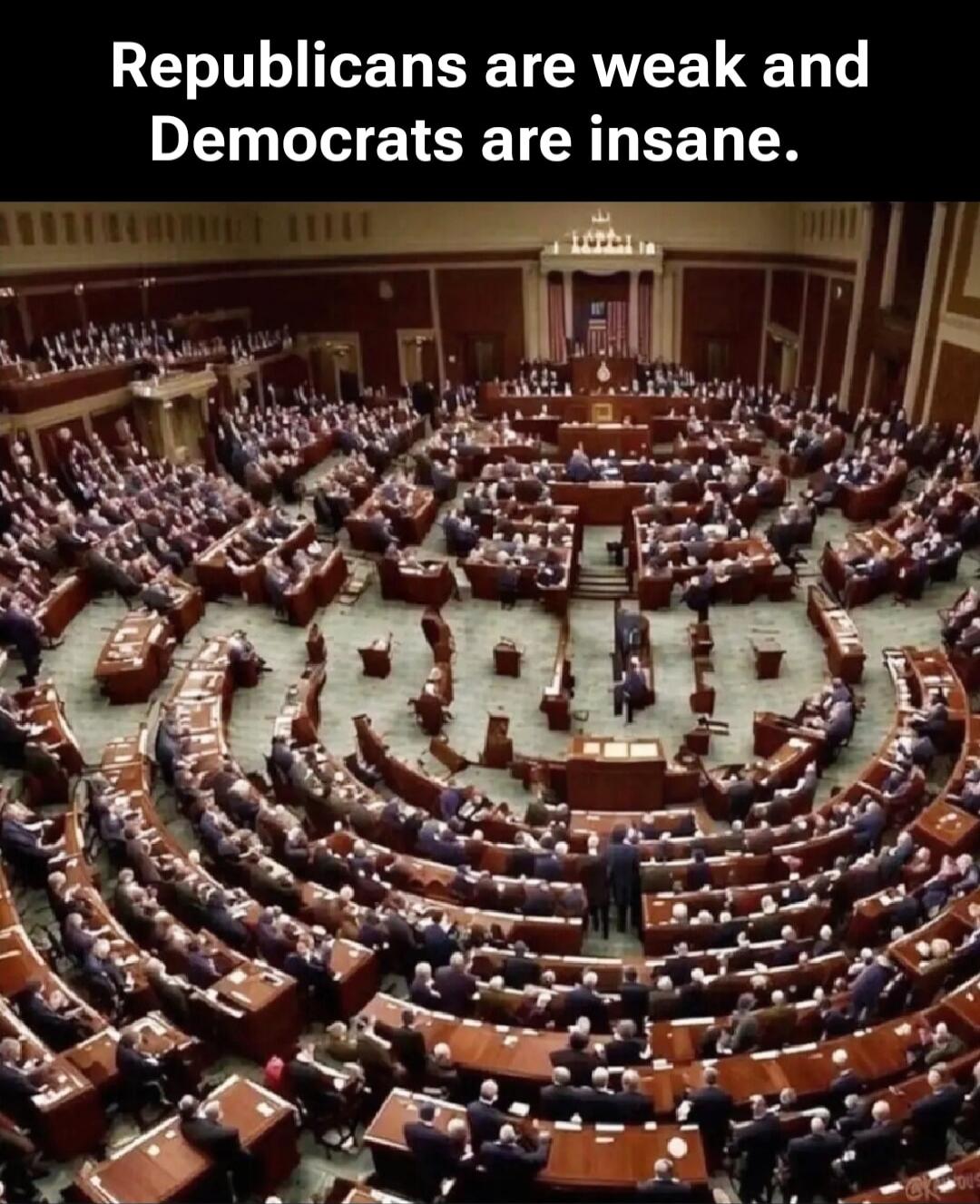 Republicans are weak and Democrats are insane.