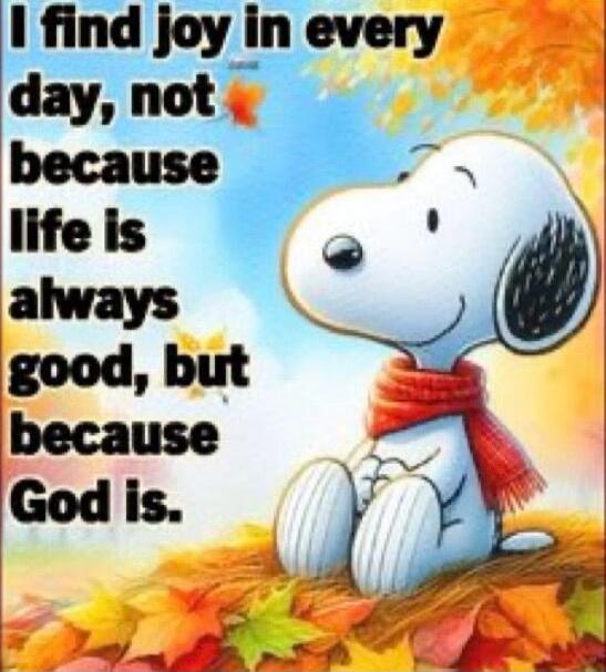 I find joy in every day, not because life is always good, but because God is.