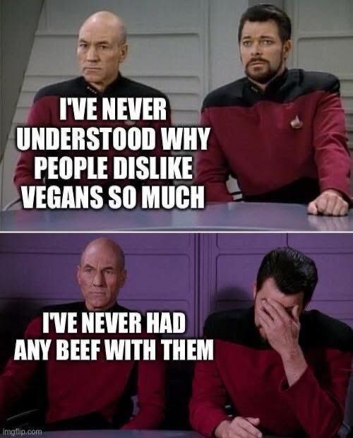I'VE NEVER UNDERSTOOD WHY PEOPLE DISLIKE VEGANS SO MUCH
I'VE NEVER HAD ANY BEEF WITH THEM