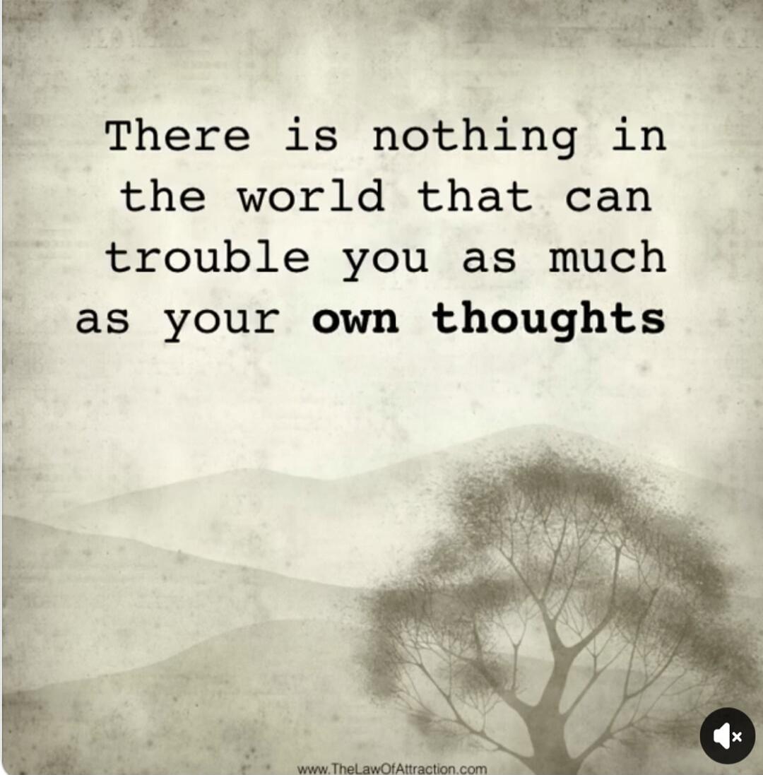 There is nothing in the world that can trouble you as much as your own thoughts. www.TheLawOfAttraction.com