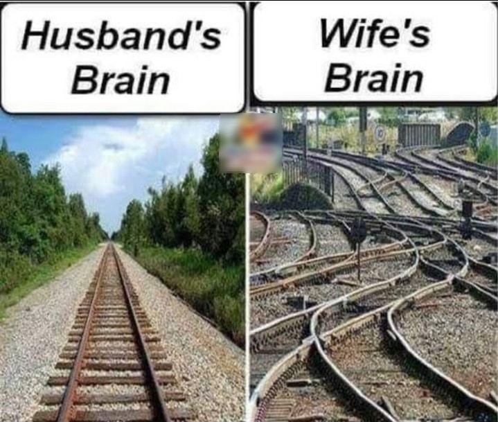 Husbands Brain