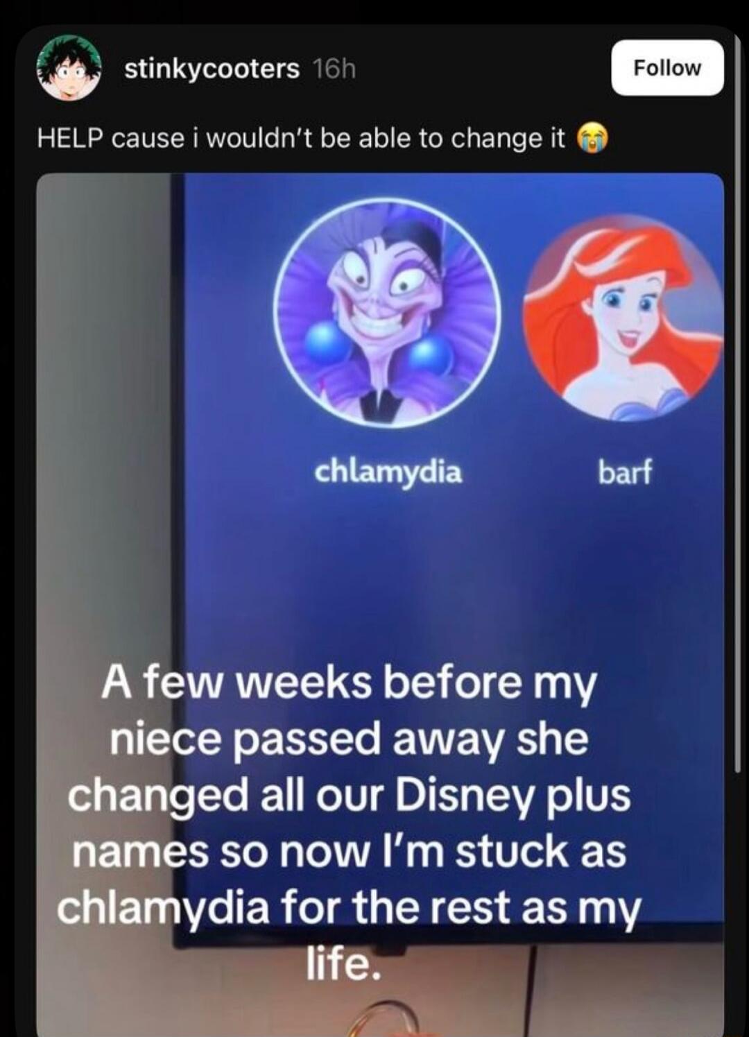 stinkycooters 16h HELP cause i wouldn't be able to change it 😭 chlamydia barf A few weeks before my niece passed away she changed all our Disney plus names so now I'm stuck as chlamydia for the rest as my life.