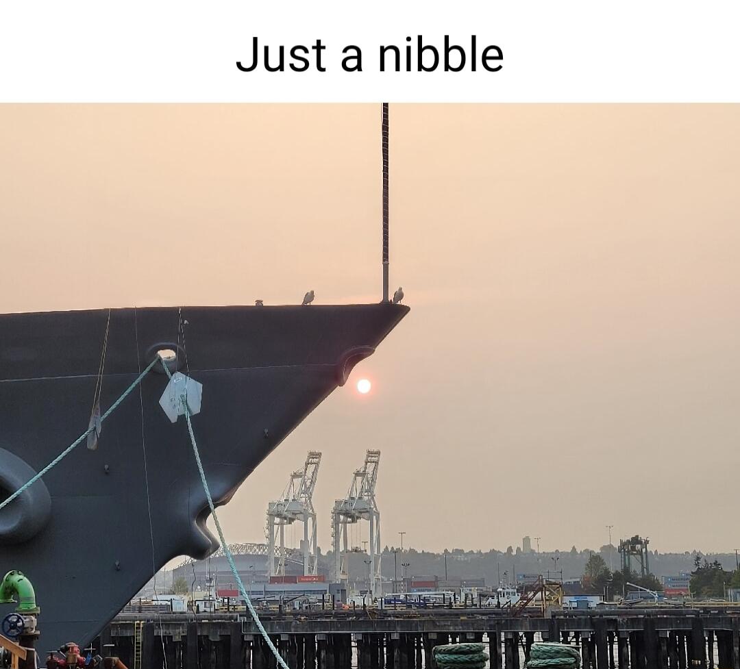 Just a nibble