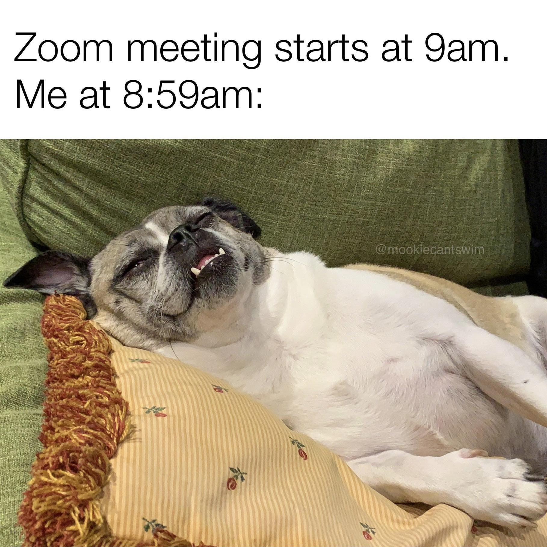 Z0om meeting starts at 9am Me at 859am