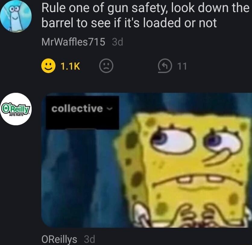 Rule one of gun safety look down the EUE RO i EA LTl Kol gy leld MrWaffles715 1k p OReillys