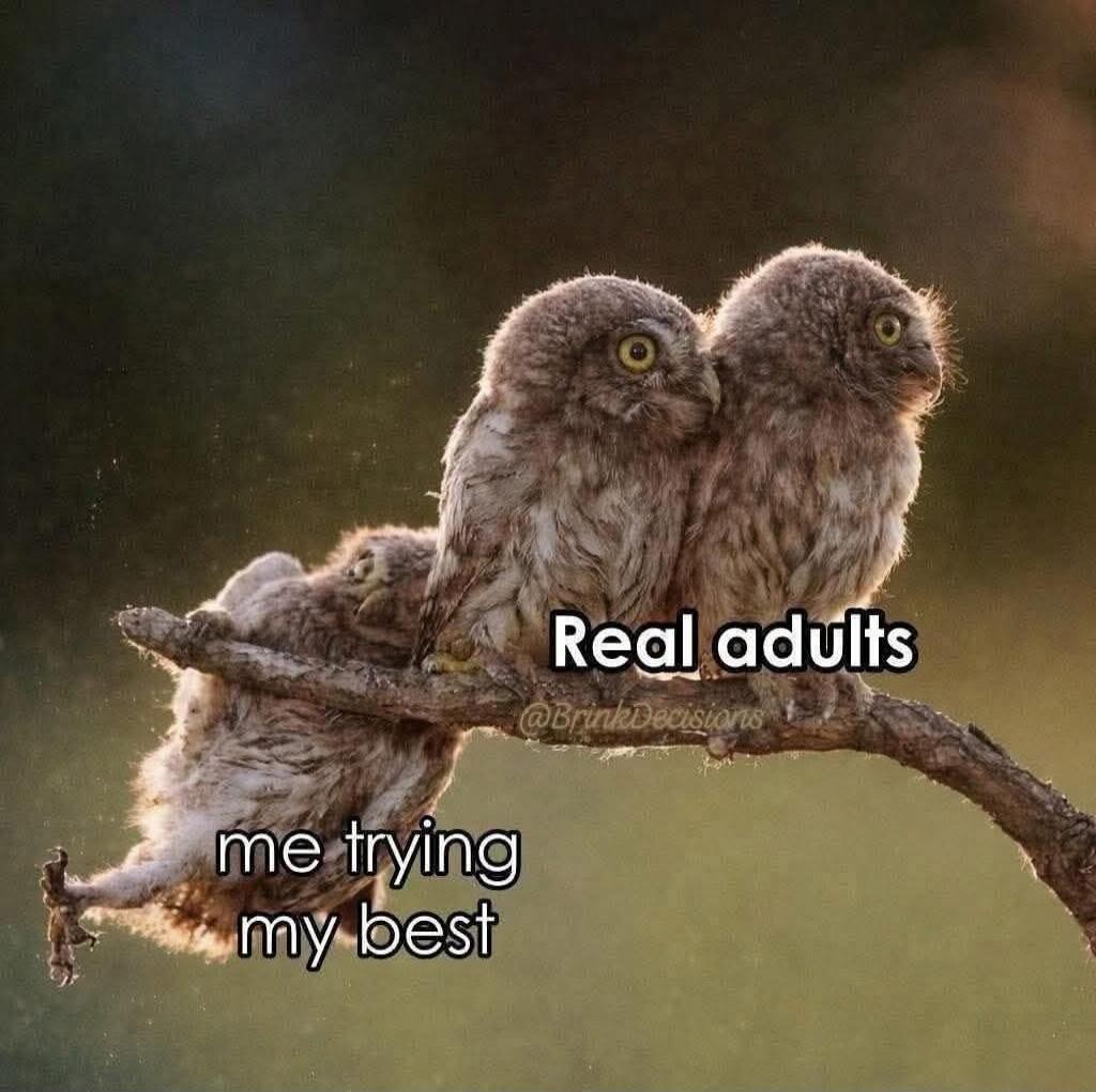 Real adults
me trying my best